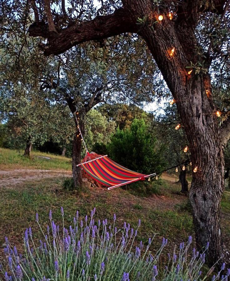 Villa Tramonto Alghero Exteriör bild